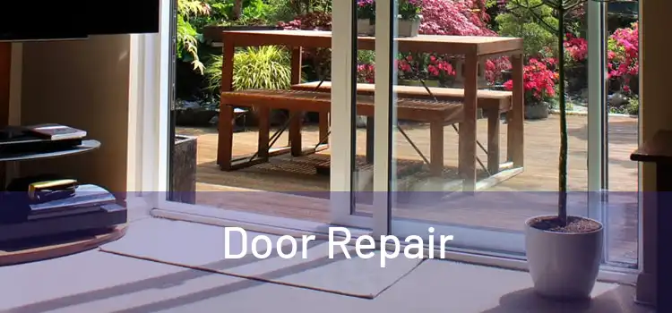 Door Repair