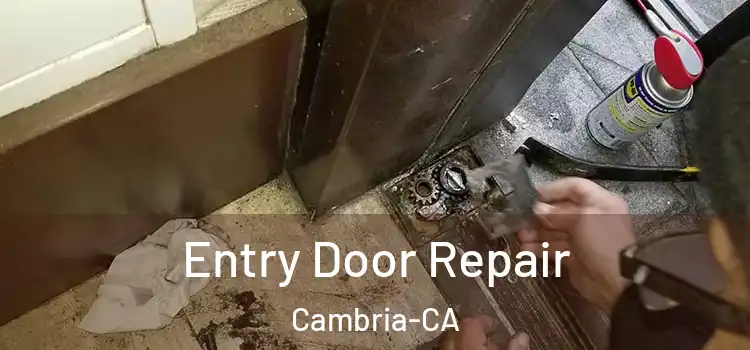  Entry Door Repair Cambria-CA