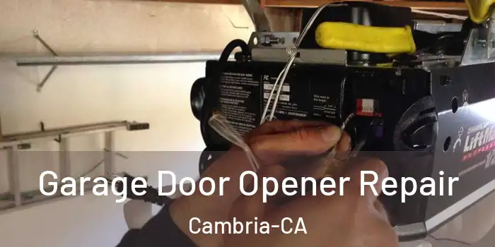  Garage Door Opener Repair Cambria-CA