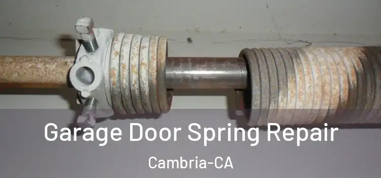  Garage Door Spring Repair Cambria-CA