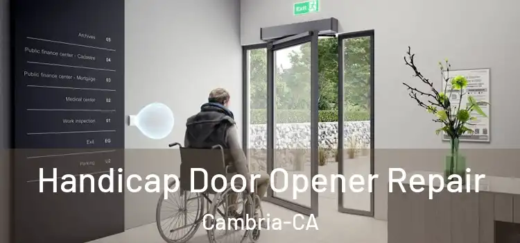  Handicap Door Opener Repair Cambria-CA