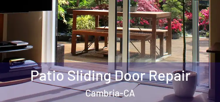  Patio Sliding Door Repair Cambria-CA